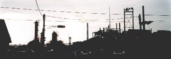 �s�X�n�t�߂̃��J�n��